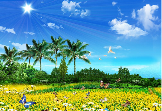1502707628181486.png image.png