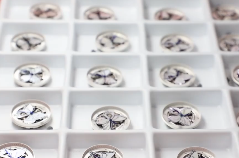 Top women's elegant butterfly pattern dial all stainless steel watch 2022.png