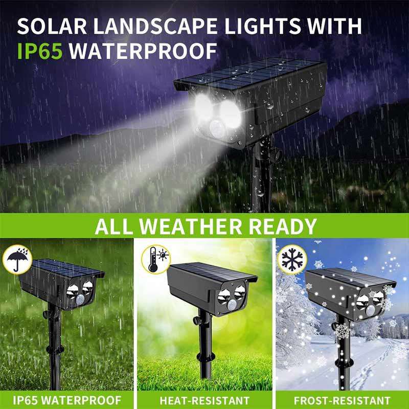 Solar Garden Lights