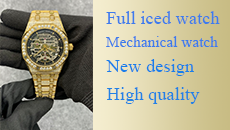 Full iced mechanical watch