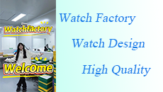 Are-you-worried-about-the-quality-of-the-watch?