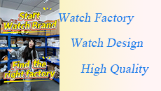 Let-us-work-together-to-build-a-watch-brand