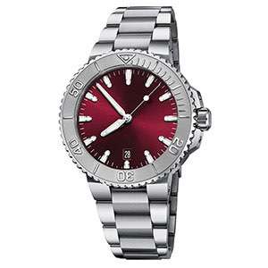 GD-1013 Stainless Steel Diver Watch Wine Dial Mens Watch Unique Factory Price Watch Make In China